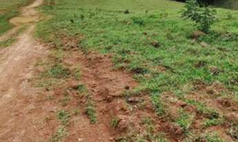 Imagem 6: Lote/Terreno para venda tem 600 metros quadrados com 1 quarto em Centro - Atibaia - SP