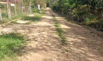 Imagem 6: Vendo 3 lotes juntos Distrito da guia