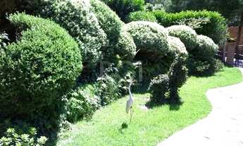 Imagem 5: Casa em Hípica Casa com 3 dormitórios