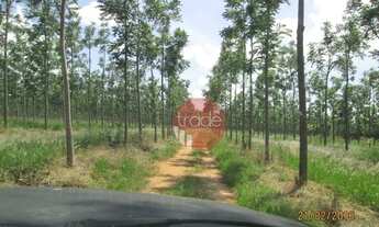 Imagem 2: Fazenda com 1 dormitório à venda, 8820000 m² por R$ 22.000.000,00 - Centro - Buritizeiro/M