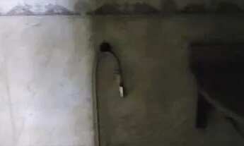 Imagem 4: Aluguel de casa- Agostinho porto