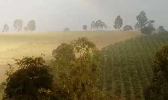 Imagem 6: Chácara em Belo vale/MG Ferrabras