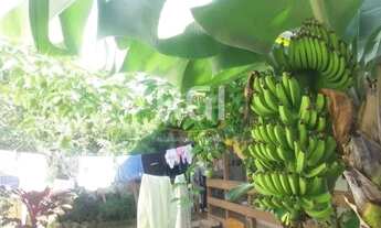 Imagem 7: Casa para Venda - 250m², 3 dormitórios, sendo 1 suites, 3 vagas - Ipanema