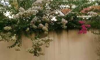 Imagem 4: Casa com 3 dormitórios, 280 m² - venda por R$ 2.000.000,00 ou aluguel por R$ 7.000,00/mês