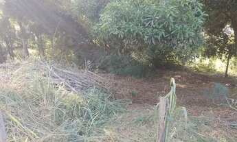 Imagem 6: Terreno em Maricá