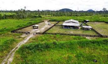 Imagem 3: Fazenda na região sul de Roraima (11.000 hectares) para Venda