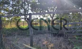 Imagem 3: 2463 Rara fazenda de 290 ha toda plana nas margens do rio são francisco