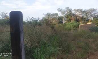 Imagem 5: Lote de chácara