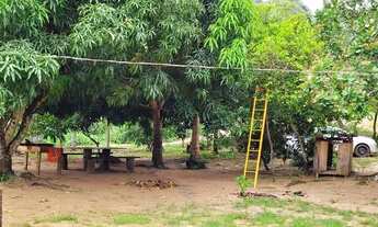 Imagem 4: Chácara 3 alqueires