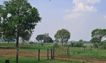 Imagem: 134.Fazenda No Pantanal Estrada Parque