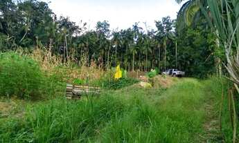 Imagem 3: Casa de Madeira Casa com 3 dormitórios