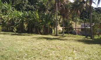 Imagem: Terreno com nascente