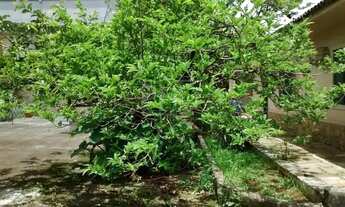 Imagem 6: Terreno à venda, Serraria - Diadema/SP