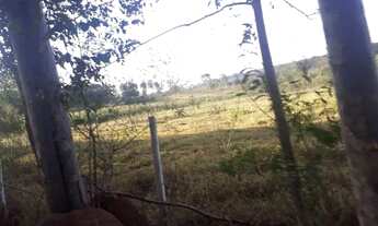 Imagem 7: Chácara Hidrolândia 3.000 M², Ótimo Local Para Morar, Plantar Produzir, com água encanada!