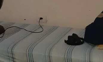 Imagem 7: Casa Casa com 2 dormitórios