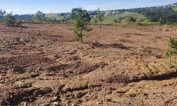 Imagem 6: Vendo ágio de lote no res. Porto Seguro