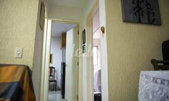 Imagem 4: São Paulo - Apartamento Padrão - Mandaqui