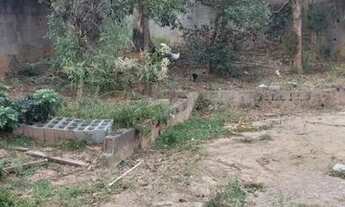 Imagem 6: Casa no Junqueira