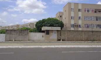 Imagem: Alugo no Alo Teresina apartamento 03 quartos