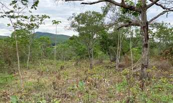 Imagem 7: Chácara muito barata a 70 km de Goiânia em cromínia com riacho