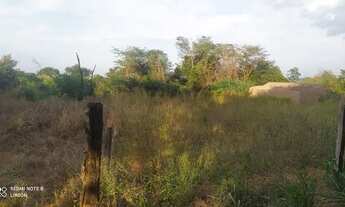 Imagem 3: Lote de chácara