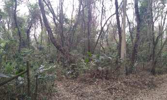 Imagem 3: Terra com água e nascente