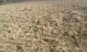 Imagem 2: Fazenda para Venda em Flexeiras, Zona Rural