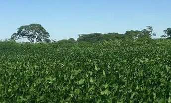 Imagem: Sitio Sao Francisco de Sales MG- com 38