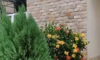 Imagem 2: Sobrado Condominio do Lago Casa em Condomínio com 3 Quarto(s) e 4 banheiro(s) à Venda, 341