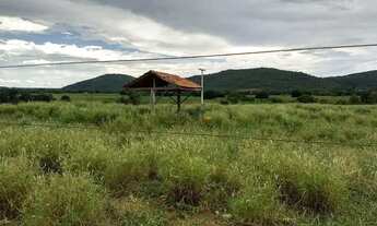 Imagem 5: Fazenda em Manga - Minas Gerais, à venda com 2.320ha - Para pecuária