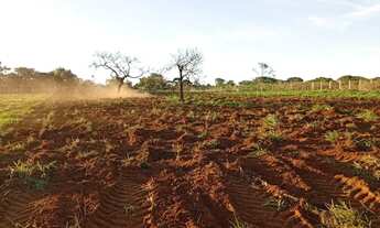 Imagem 5: Chácaras para quem quer sossego ?