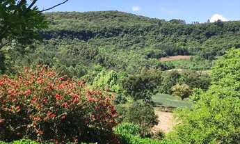 Imagem 7: Sítio - Bairro Carazal