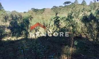 Imagem 7: Chácara em Rua João Bortolan - Colônia Murici - São José dos Pinhais/PR