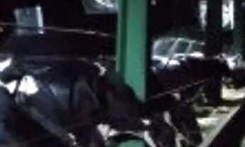 Imagem 3: Vendo uma fazenda em pentecoste