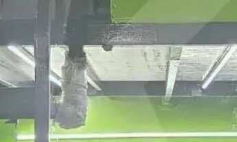 Imagem 3: Salão comercial, Negócio no Coração da Casa Verde!