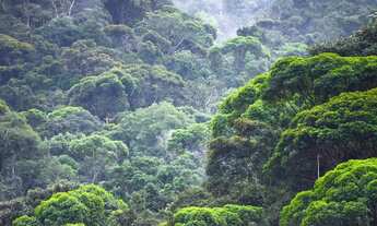 Imagem: Fazendas/Áreas para Investimento em Credito