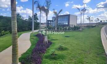 Imagem 6: Ribeirão do Lipa