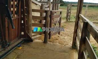 Imagem 6: FAZENDA À VENDA - 113 HECTARES - MORRO DA GARÇA (MG