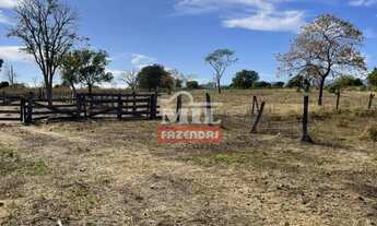 Imagem 5: Fazenda na Nova Fronteira Agrícola 330 alqueieres (1.597 hectares) Colinas Do Sul - Go