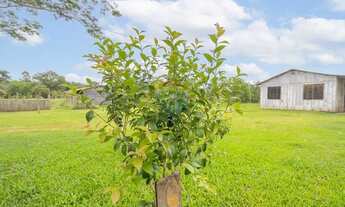 Imagem 7: Chácara na Costa do Ipiranga