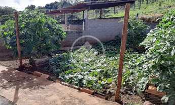 Imagem 2: REF: Office2401 Fazenda Cubatão com 8,5 Alqueires, Faina-GO codigo: 58774