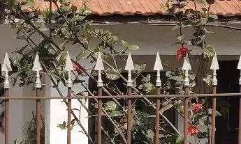 Imagem 6: Terreno à venda Príncipe de Gales - Santo André - SP