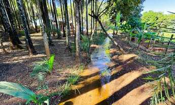 Imagem 6: Chácara rica em água px Anápolis