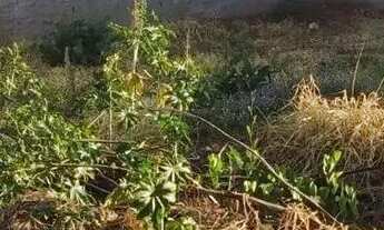 Imagem 3: LOTE SETOR LUCY PINHEIRO GOIÂNIA