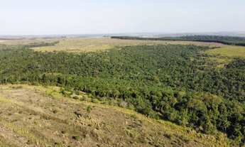 Imagem 3: Fazenda 124 alqueires Regiao de São Pedro SP