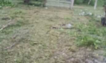 Imagem 6: Pechincha chácara Documentada