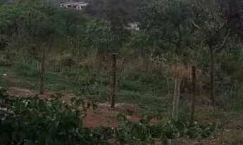 Imagem: Chácara para seu lazer