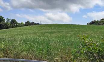 Imagem 2: Imóvel para venda com 100000 metros quadrados em São Caetano - Balsa Nova - PR