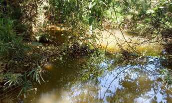 Imagem 6: Chácara 5 mil metros as margens do Ribeirão