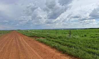 Imagem 3: FAZENDA À VENDA REGIÃO DE NOVA MUTUM MT